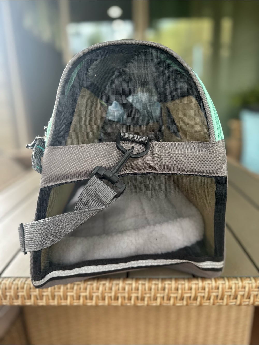 Teal Soft-Sided Small Pet Carrier - Picture 4 of 11